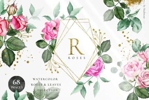 Watercolor Flowers Pink Roses Green Leaf: Elevating Your Designs with ROSETTE